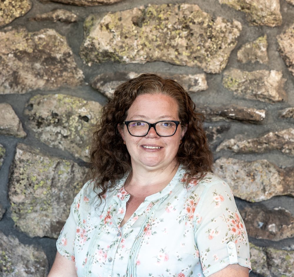 stonetown-jamie mcguane